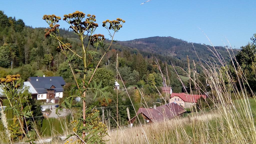 Penzion Edelstejn Petrovice  Екстериор снимка