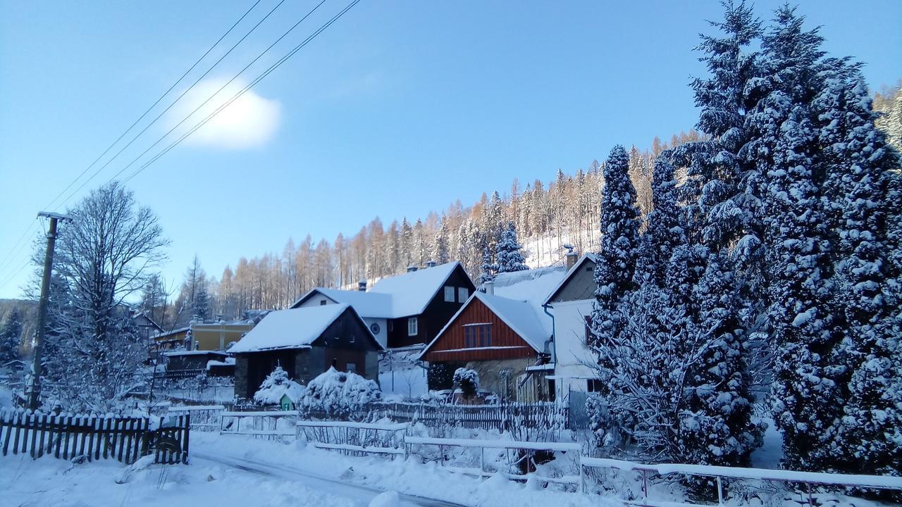 Penzion Edelstejn Petrovice  Екстериор снимка